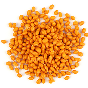 PGE綠色運(yùn)動場地材料新品