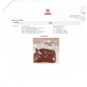 檢測(cè)報(bào)告